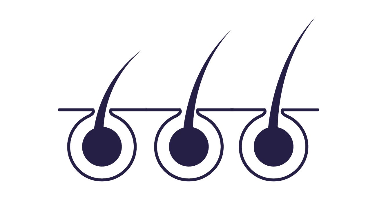 Foxche hair design home page services